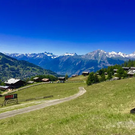 Pracondu Outdoor & Fun Appartement 1 Chambre Avec Balcon By Alpvision Residences Nendaz Exterior photo