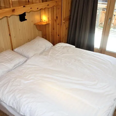 Pracondu Outdoor & Fun Appartement 1 Chambre Avec Balcon By Alpvision Residences Nendaz Exterior photo