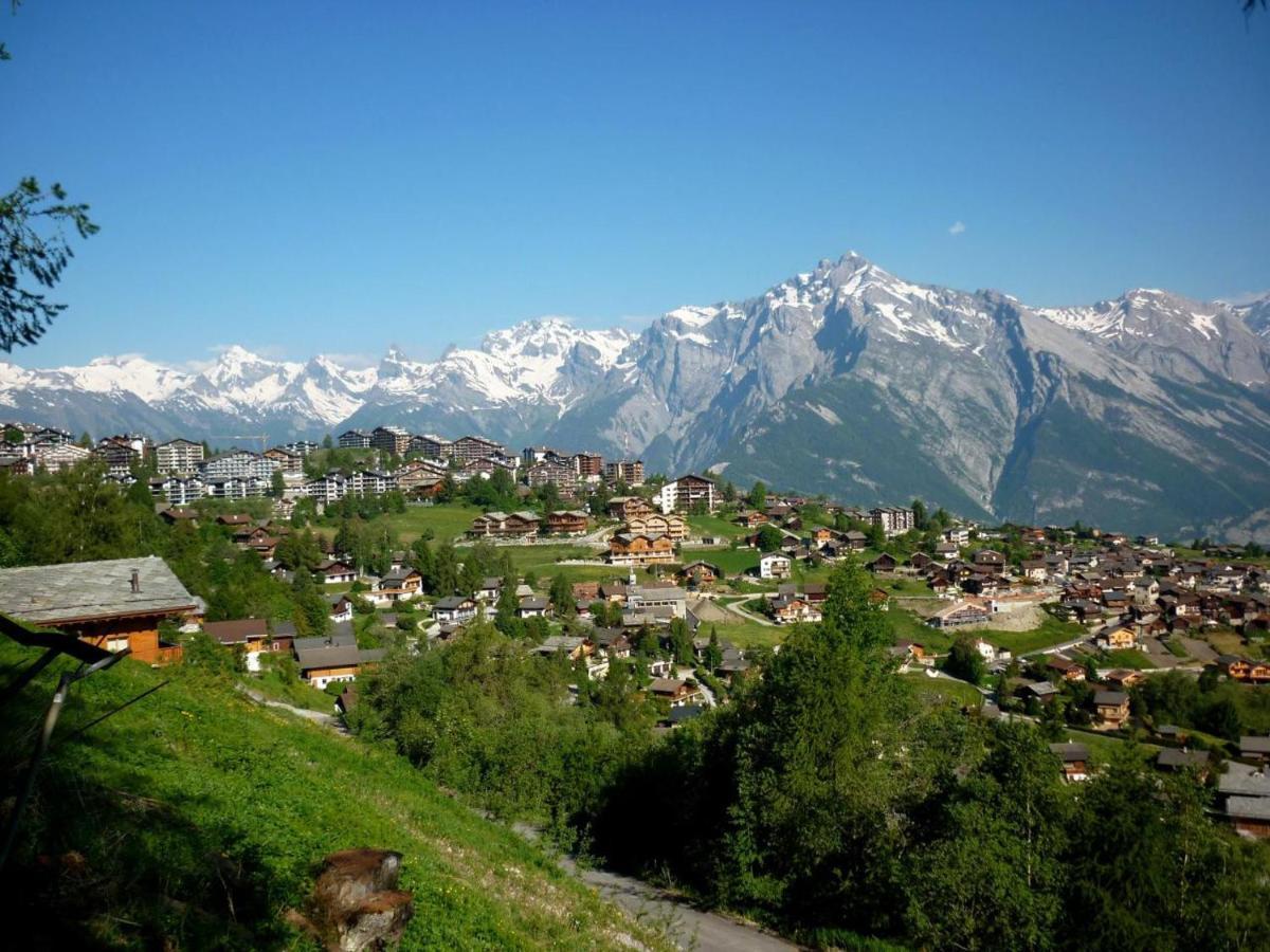 Pracondu Outdoor & Fun 1 Avec Balcon By Alpvision Residences * Nendaz